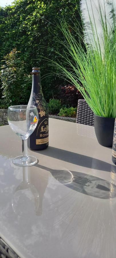 Le Gai Pinson Villa Beausaint Eksteriør billede